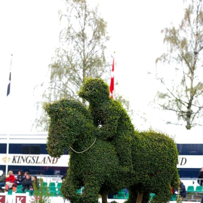 Drammen Spring Tour 2019